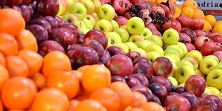 ۵ تن میوه طرح تنظیم بازار در تربت‌حیدریه عرضه می شود