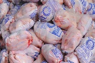 مازاد تولید مرغ داریم/ چرا صادرات به درستی انجام نمی‌شود؟