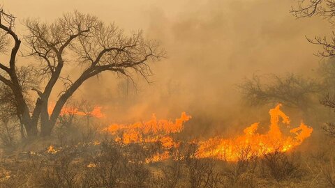 شعله‌ور شدن دوباره آتش در جنگل‌های «چله» و «حیدریه» گیلانغرب