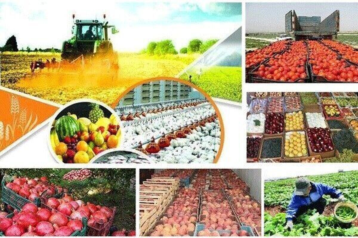 صادرات بیش از ۲۱۲ هزار تن محصولات کشاورزی از خرمشهر