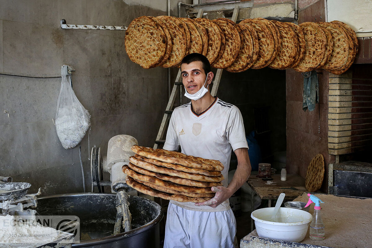 ایرانی‌ها نصف استاندارد جهانی فیبر مصرف می‌کنند/ استفاده از "بلانکیت" در نان غیرقانونی است