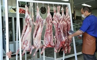 ۳۳ هزار و ۱۱۷ تن گوشت قرمز در قزوین تولید شد