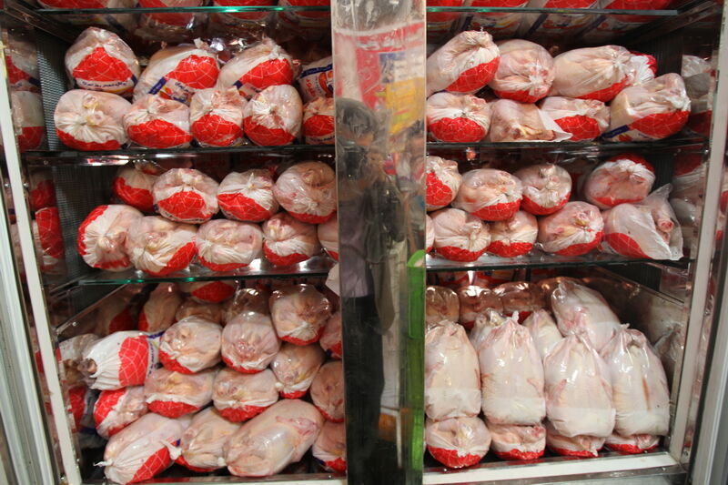۱۵۲ میلیون قطعه جوجه‌ریزی در بهمن/ صادرات گوشت مرغ به خاورمیانه