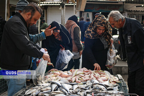 گزارش تصویری I بازار ماهی فروشان شهرک بهشتی مشهد