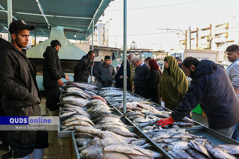 گزارش تصویری I بازار ماهی فروشان شهرک بهشتی مشهد