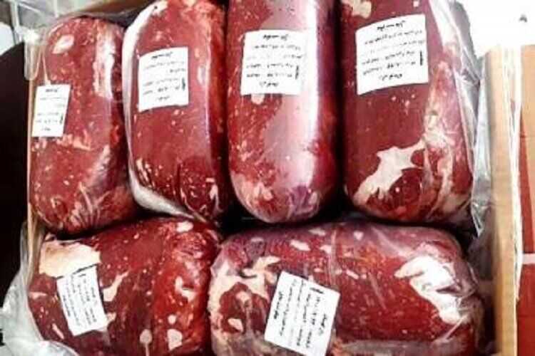 توزیع بیش از ۲۴۰ تن گوشت قرمز منجمد در همدان