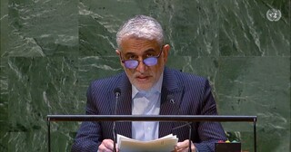 حمایت ایران از تصویب پیش‌نویس قطعنامه اقدامات مبارزه با اسلام هراسی