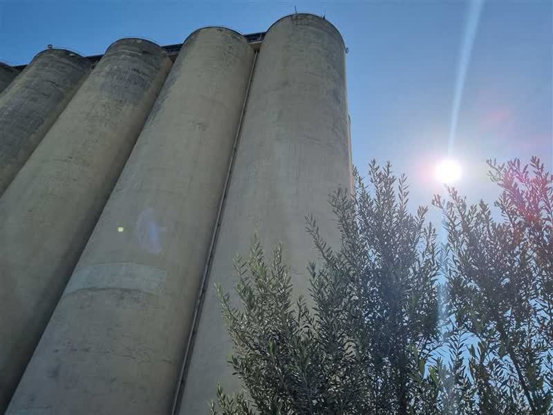 زیرساخت غلات مازندران، فقیر است
