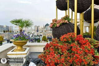 ​​​​​​​گلباران قدوم زائران نوروزی حرم مطهر رضوی با ۲۰۰ هزار شاخه گل