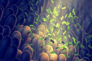 افزایش انتقال باکتری‌های مقاوم به دارو به طبیعت