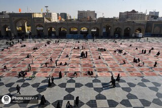 مفروش شدن ۳۵ هزار مترمربع از اماکن متبرکه رضوی 