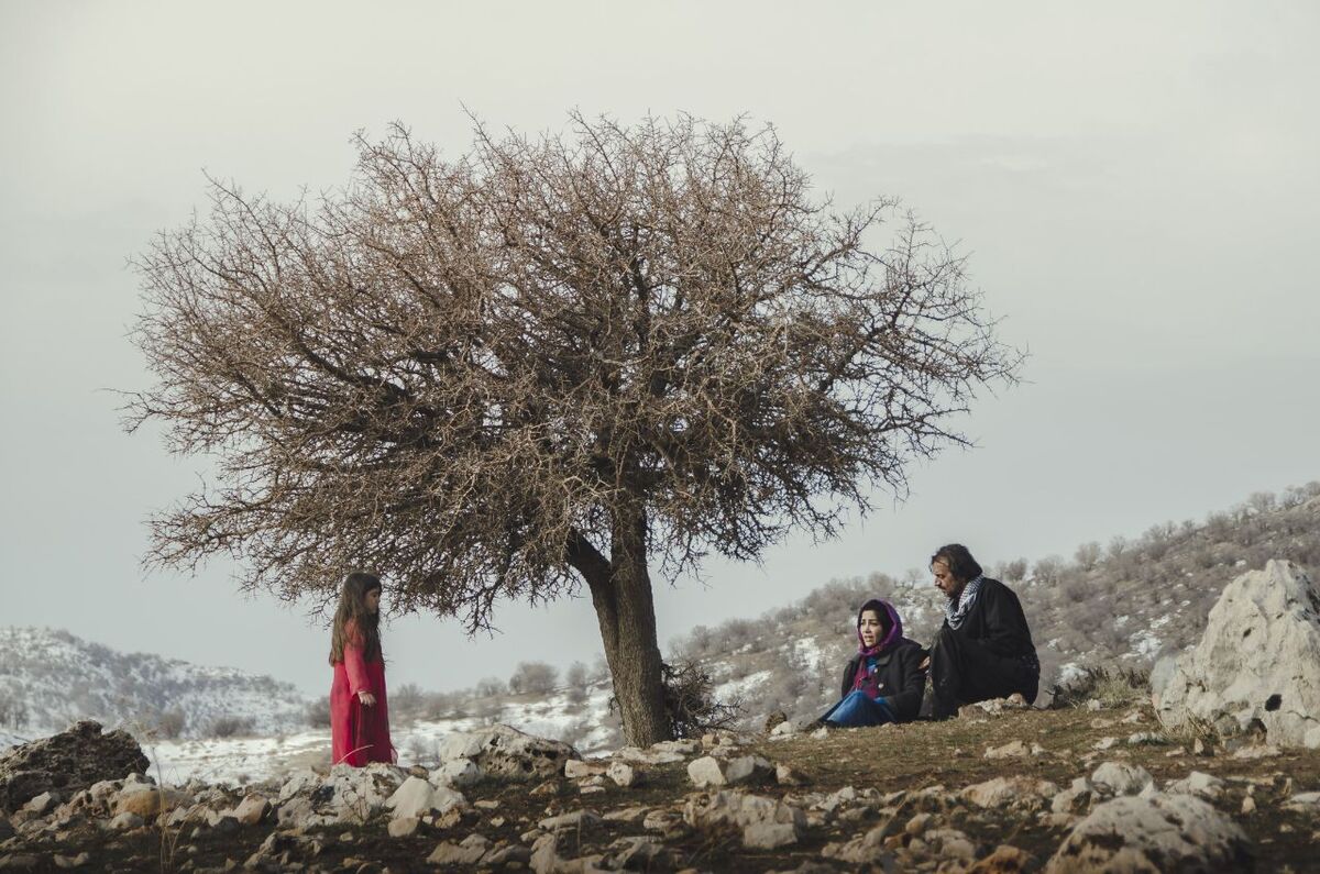 کارگردان ایرانی بهترین فیلمساز یک جشنواره آمریکایی شد