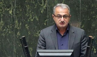 نماینده مجلس بیان کرد؛ انحراف در ۳۶ واگذاری اراضی ملی/ احداث کافی‌شاپ به جای مجموعه پرورش ماهی