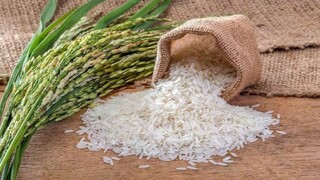 حداقل ۸۰۰ هزار تن برنج قبل از دوره ممنوعیت باید وارد شود