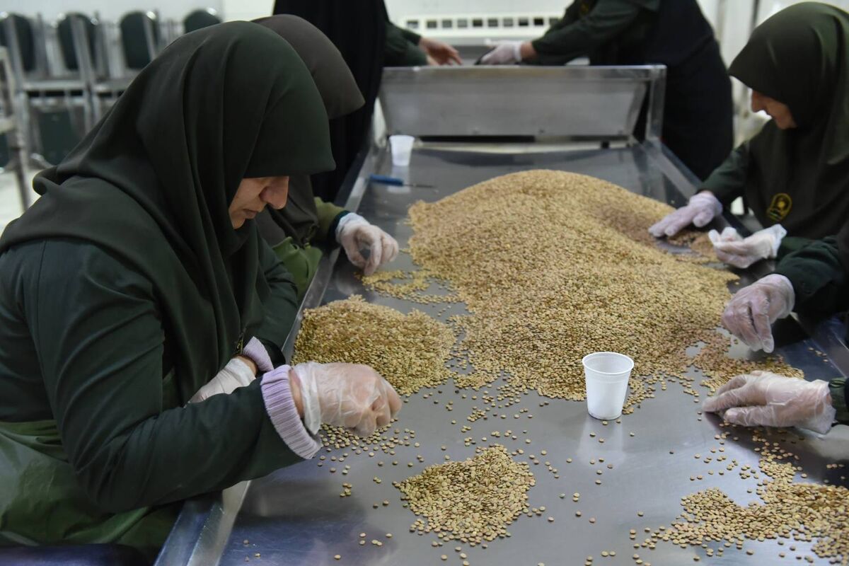 خدمت معنوی برای افطار رضوی