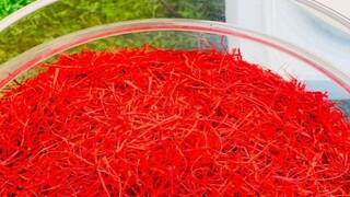 افزایش صادرات زعفران افغانستان
