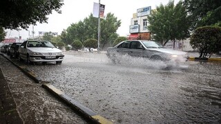 بارش شدید باران در راه استان بوشهر/صدور هشدار قرمز هواشناسی