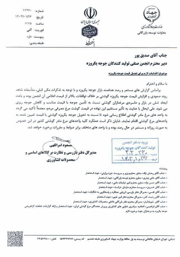 هشدار وزارت جهاد کشاورزی به گرانفروشی جوجه یکروزه گوشتی