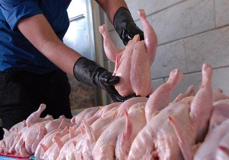 افزایش قیمت گوشت مرغ صحت ندارد