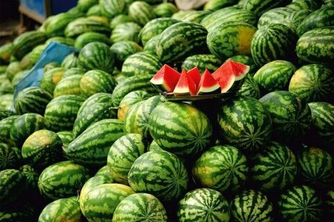هندوانه کیلویی ۲ زار نمی‌ارزد!