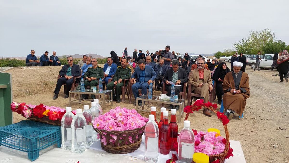برگزاری اولین جشنواره گل و گلاب شهرستان بردسکن در روستای باب الحکم