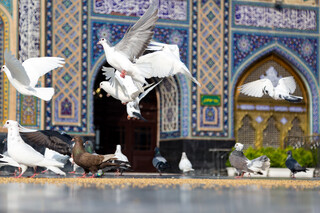 مجاهدت در غربت، عهدی با امام رضا(ع)