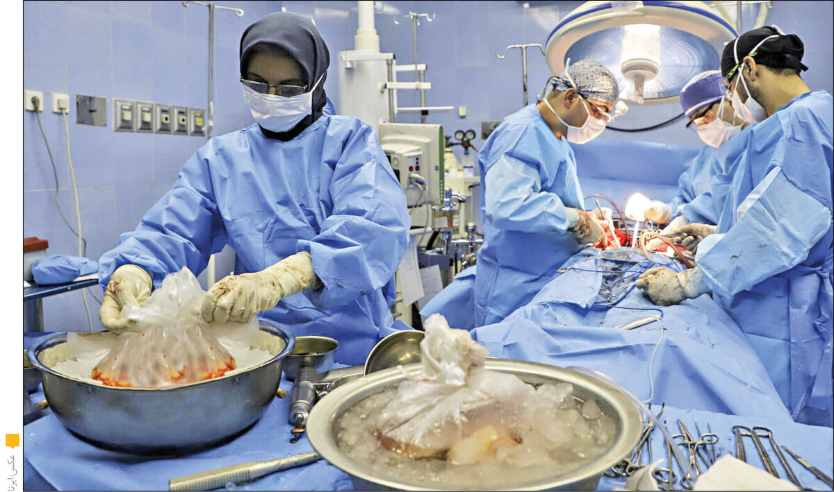 رشد ۲۵درصدی اهدای عضو در خراسان رضوی  رشد ۲۵درصدی اهدای عضو در خراسان رضوی