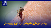 فیلم| وضعیت بیماری مالاریا در سیستان و بلوچستان