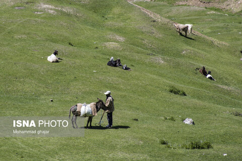 گزارش تصویری I ارتفاعات برفچال، شهرستان مینودشت - استان گلستان