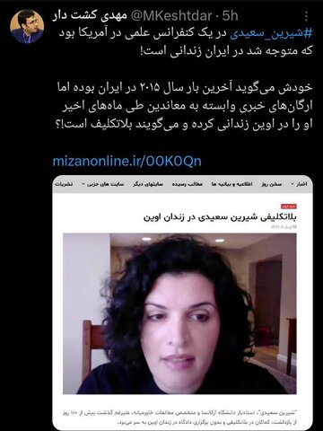 عکس| ماجرای استاد دانشگاهی در آمریکا که وسط یک کنفرانس علمی فهمید در ایران زندانی است