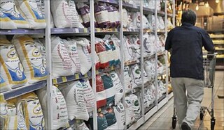 کاهش برنج خارجی و خطر افزایش قیمت‌ها/ مدیریت بهینه دربازار تخم‌مرغ