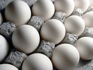 ۱۱ هزار تن تخم مرغ از مشهد به کشورهای همسایه صادر شد