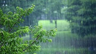 نصف کم‌بارشی‌های کشور با بارش های امسال جبران شد