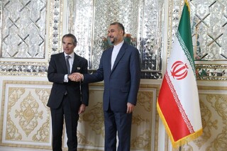 وزیر امور خارجه: اتخاذ موضع بی‌طرفانه و حرفه‌ای در همکاری‌ ایران و آژانس مؤثر است