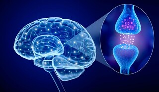 شبیه‌سازی مغز انسان با سیناپس‌های مصنوعی