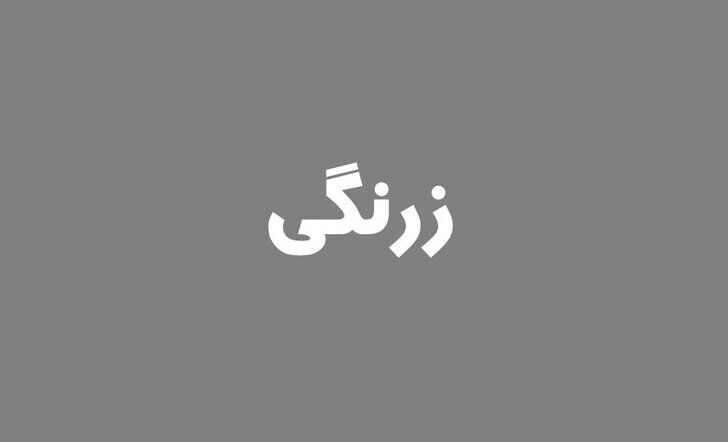 زرنگی چیست و زرنگ‌تر کیست؟