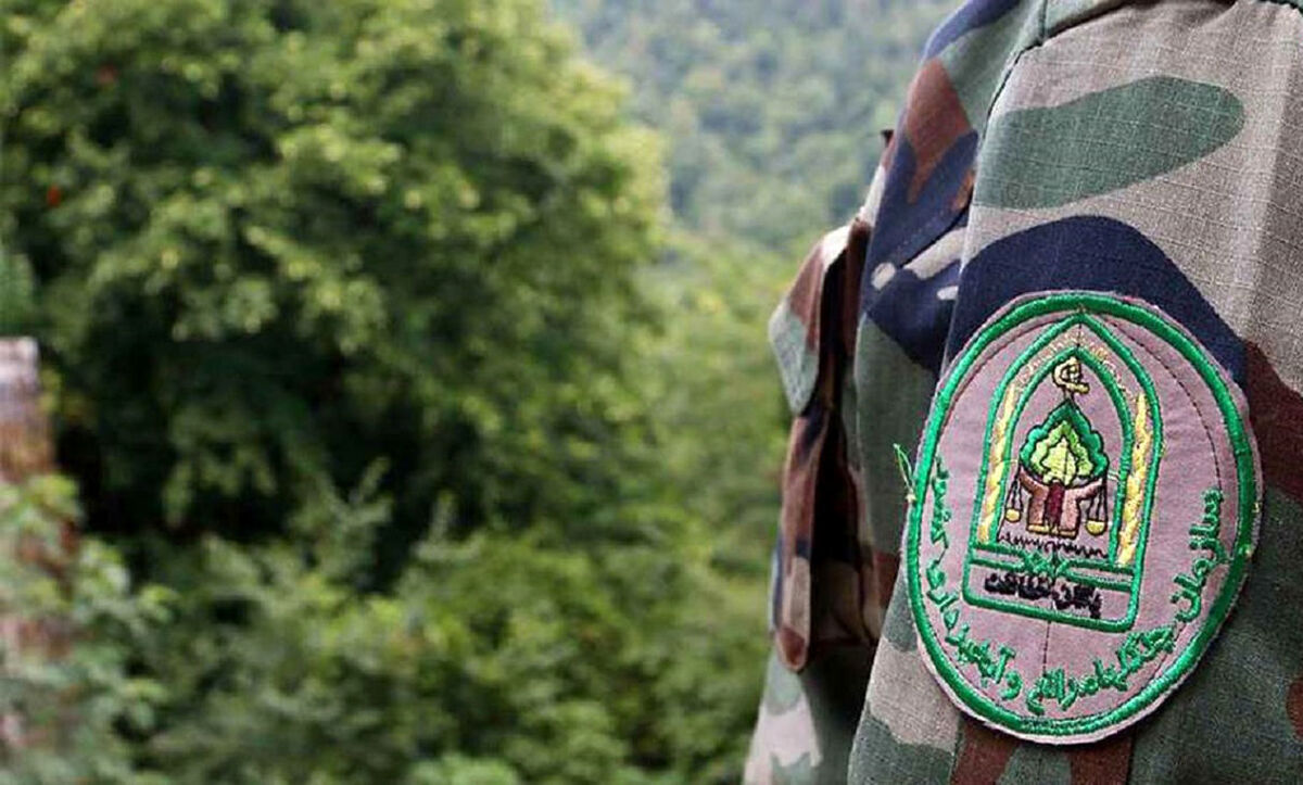 فرمانده یگان حفاظت سازمان منابع طبیعی اعلام کرد: افزایش تعرض به جنگلبانان در سال جاری