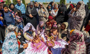 دومین آیین سنتی گل غلتان در مرق کاشان برگزار می‌شود
