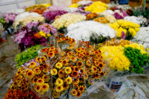 گل آرایی حرم حضرت معصومه سلام الله علیها