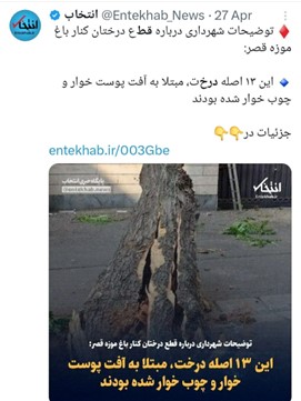 دروغ پردازی زیر سایه درختان تهران/ ماجرای قطع درختان تهران چه بود؟