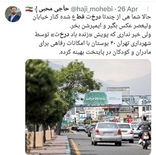دروغ پردازی زیر سایه درختان تهران/ ماجرای قطع درختان تهران چه بود؟
