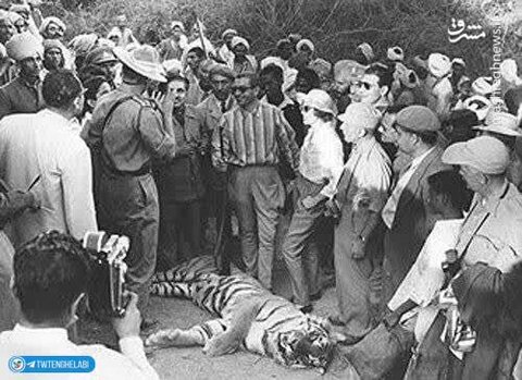 عکس| واکنش یک کاربر به تسلیت گفتن فرح پهلوی به خاطر مرگ سگ مجری منوتو