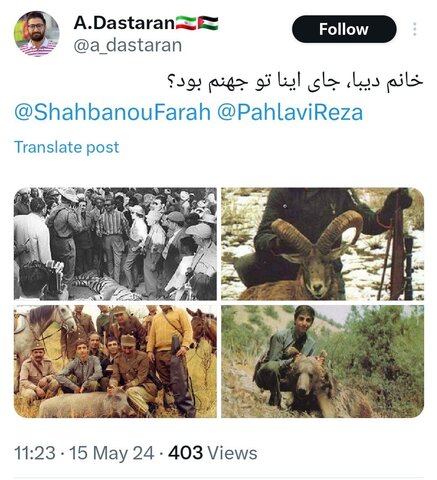 عکس| واکنش یک کاربر به تسلیت گفتن فرح پهلوی به خاطر مرگ سگ مجری منوتو