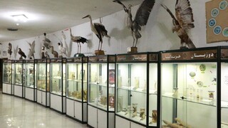 بازدید رایگان از موزه‌های تاریخ طبیعی کشور تا سوم خرداد