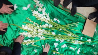 رئیس دستگاه دیپلماسی ایران در قبله تهران آرام گرفت