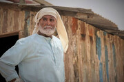 فیلمی از جمشید هاشم‌پور در راه اکران