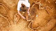 کشف گورهای مرموز باستانی از اسب‌های متعلق به ۲ هزار سال پیش