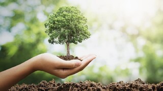 زندگی سالمتر با کاشت درختان باثمر