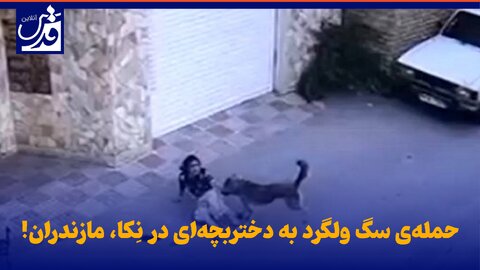 فیلم| حمله‌ی سگ ولگرد به دختربچه‌ای در نِکا، مازندران!