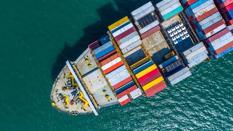 رهاشدگی یا مدیریت واردات؟